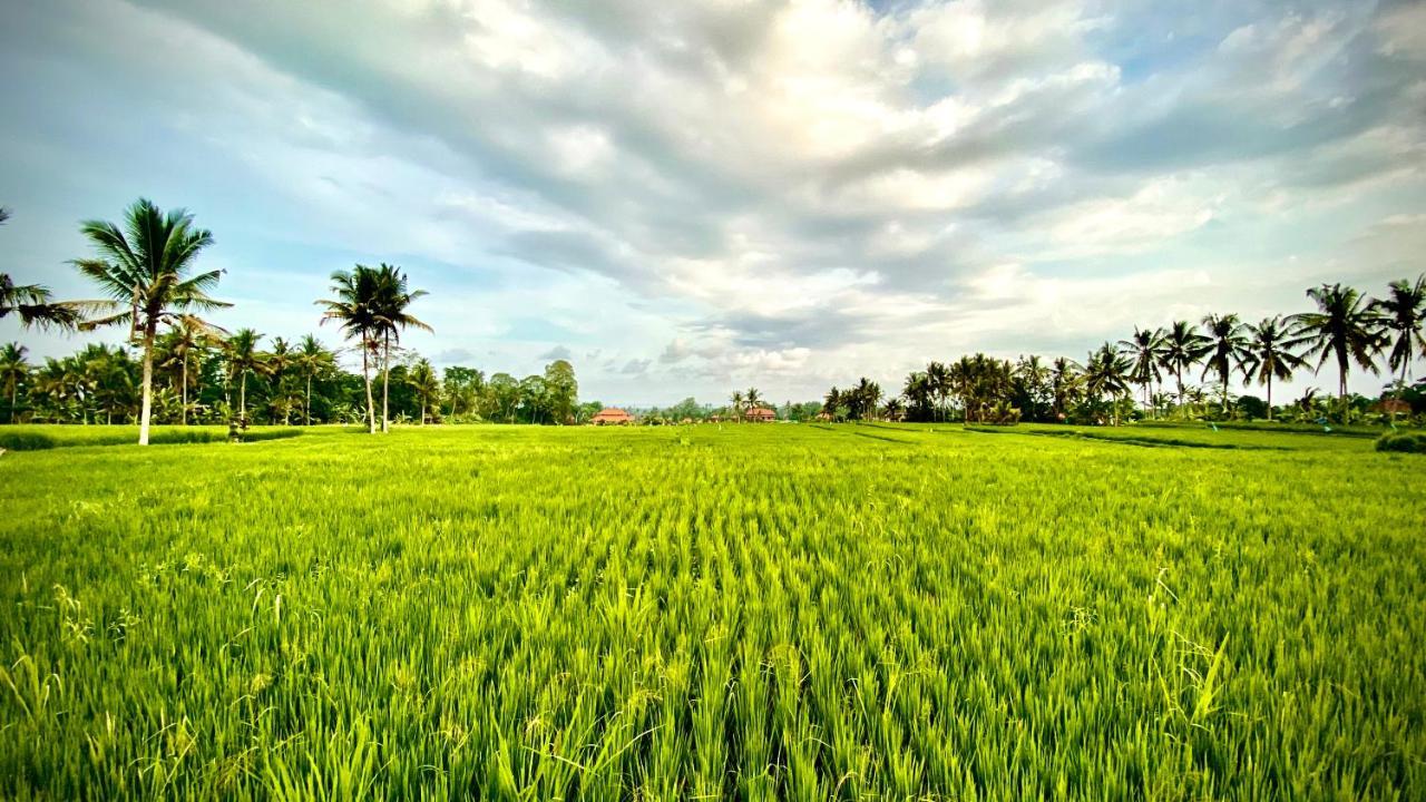 Villa Sawah Ramah Ubud Exterior foto